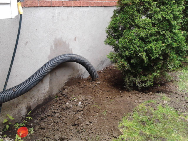 Drains français