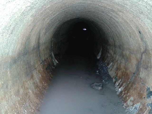 Drains français